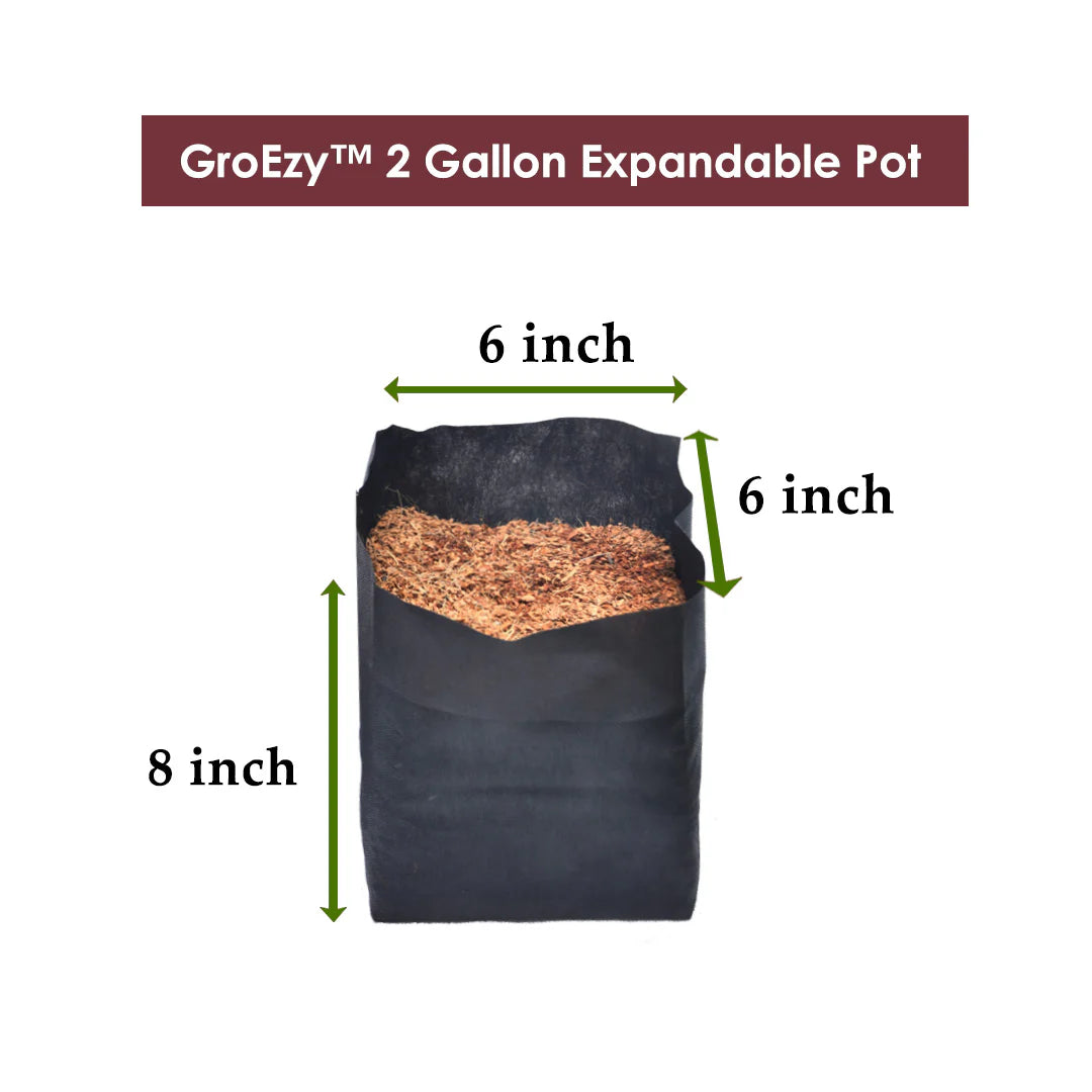 GroEzy Expandbale Pots - Straight Coco Blocks in Fabric Bags