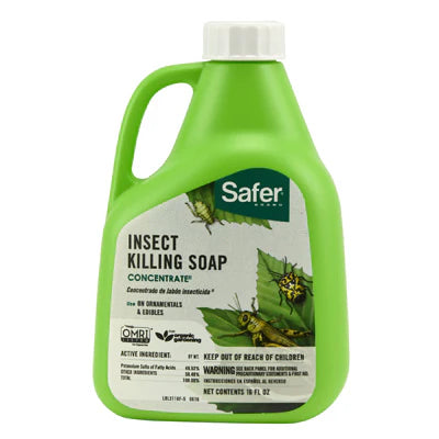 Safer Insect Killing Soap Conc 16 OZ