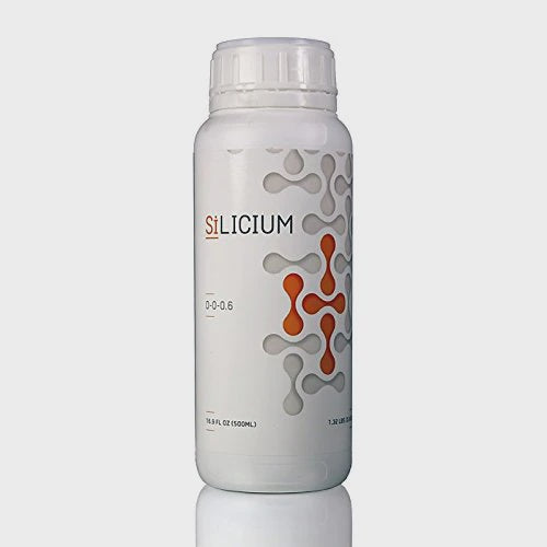 Silicium Mono Silic Acid