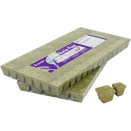 Grodan AOk Rockwool Starter Cubes