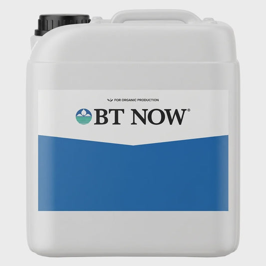 BioSafe BT Now