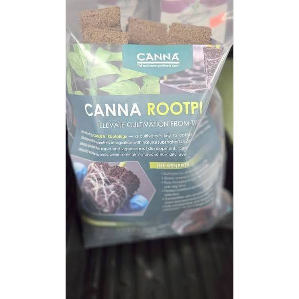 Canna Root Plugs