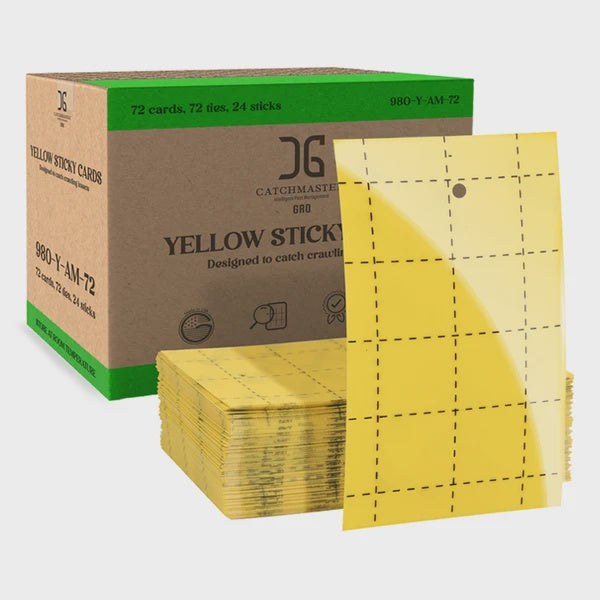 Catchmaster Yellow Catch Card - 5/Pack (Case of 80)