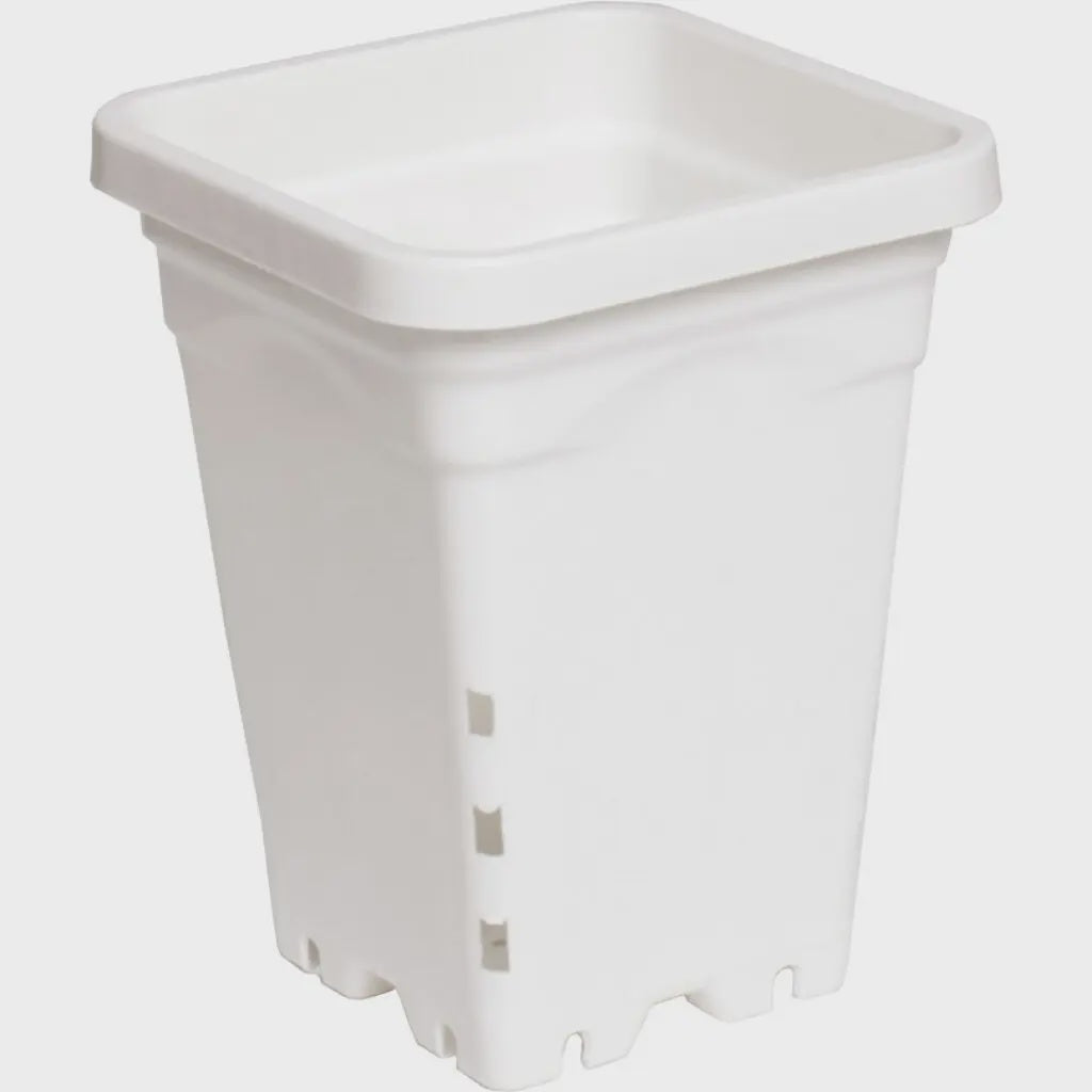 Active Aqua Square White Pot 5" x 5" x 7" (Case of 100)