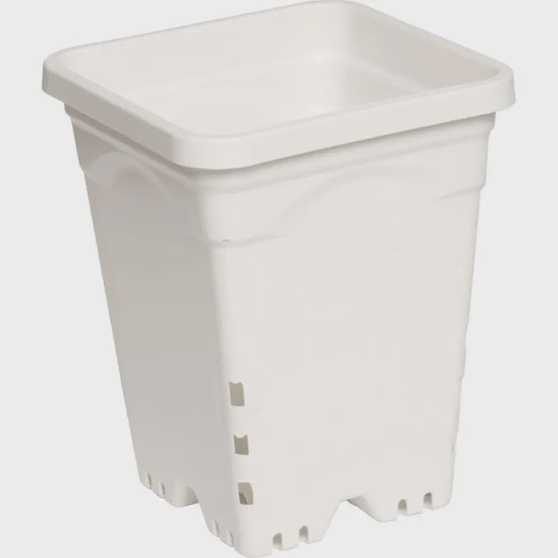 Active Aqua Square White Pot 6" x 6" x 8" (Case of 50)