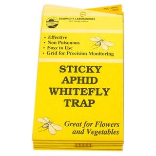 Seabright Laboratories Whitefly Traps - 5/Pack (Case of 80)