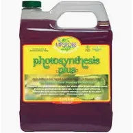 Microbe Life Photosynthesis Plus