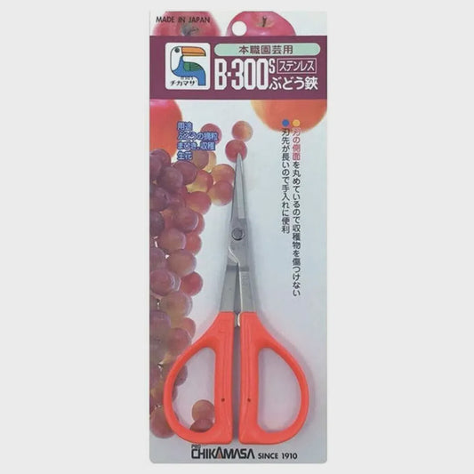 Chikamasa B-300S Stainless Steel Sap Resistant Garden Scissors (Case of 6)