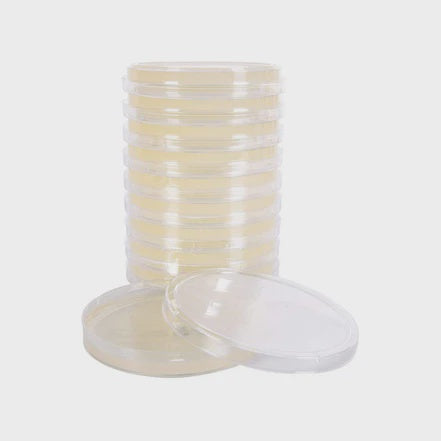 Sterile Plastic Petri Dishes with Lid, 90mm Dia x 15mm Deep (Pack of 20)