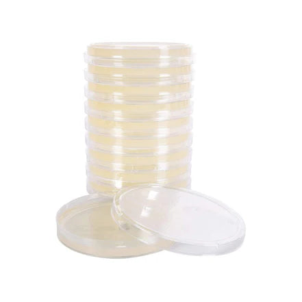 North Spore Pre-Poured Sterile Agar Plates (10 Pack)