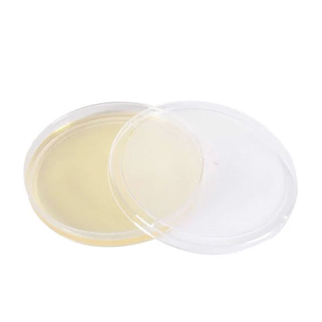 North Spore Pre-Poured Sterile Agar Plates (10 Pack)