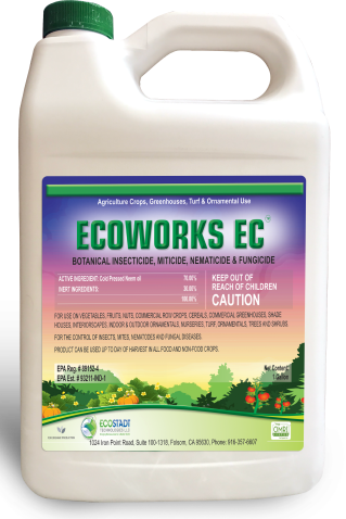 EcoWorks EC