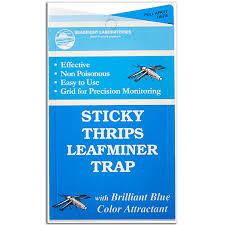 Seabright Laboratories Thrip & Leafminer Trap (5/Pack)
