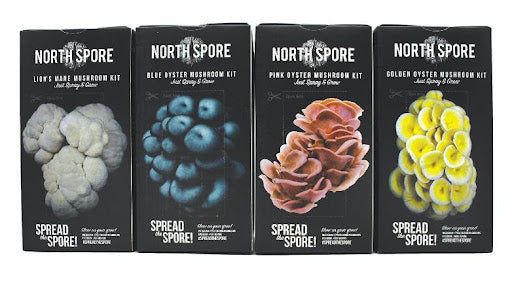 North Spore Gourmet 2 Block Special!!