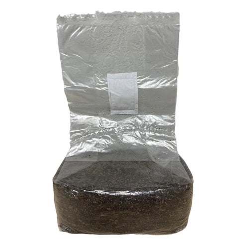 Pacific Substrates All-In-One Mushroom Grow Bag