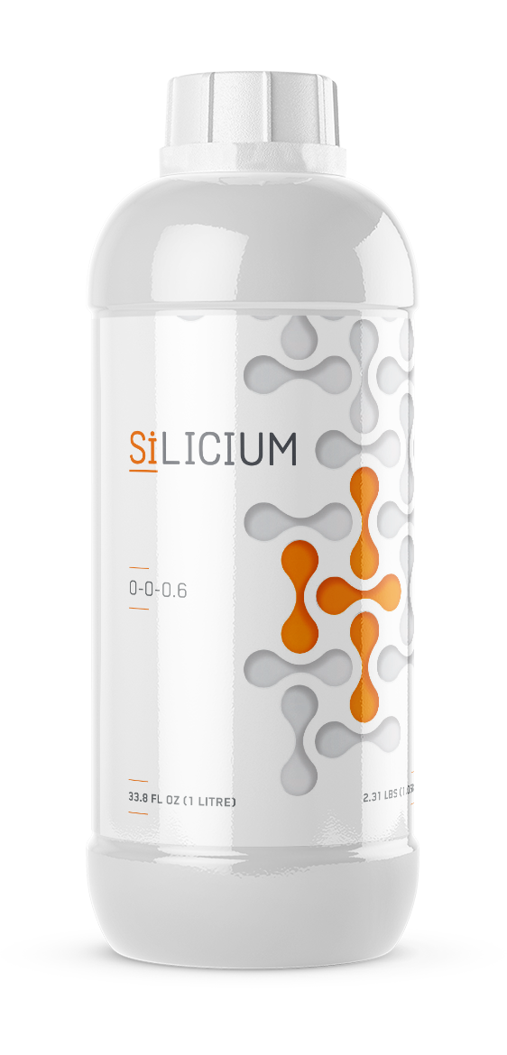 Silicium Mono Silic Acid