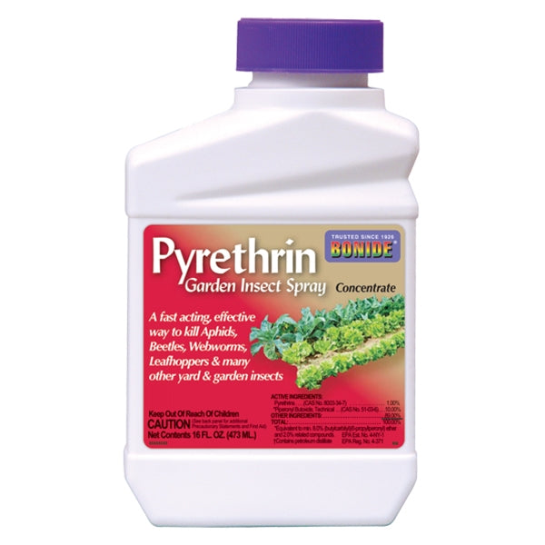 Pyrethrum Insecticide Spray Oil