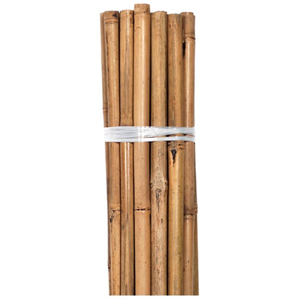 Grower's Edge Natural Bamboo 6 ft Bulk (5