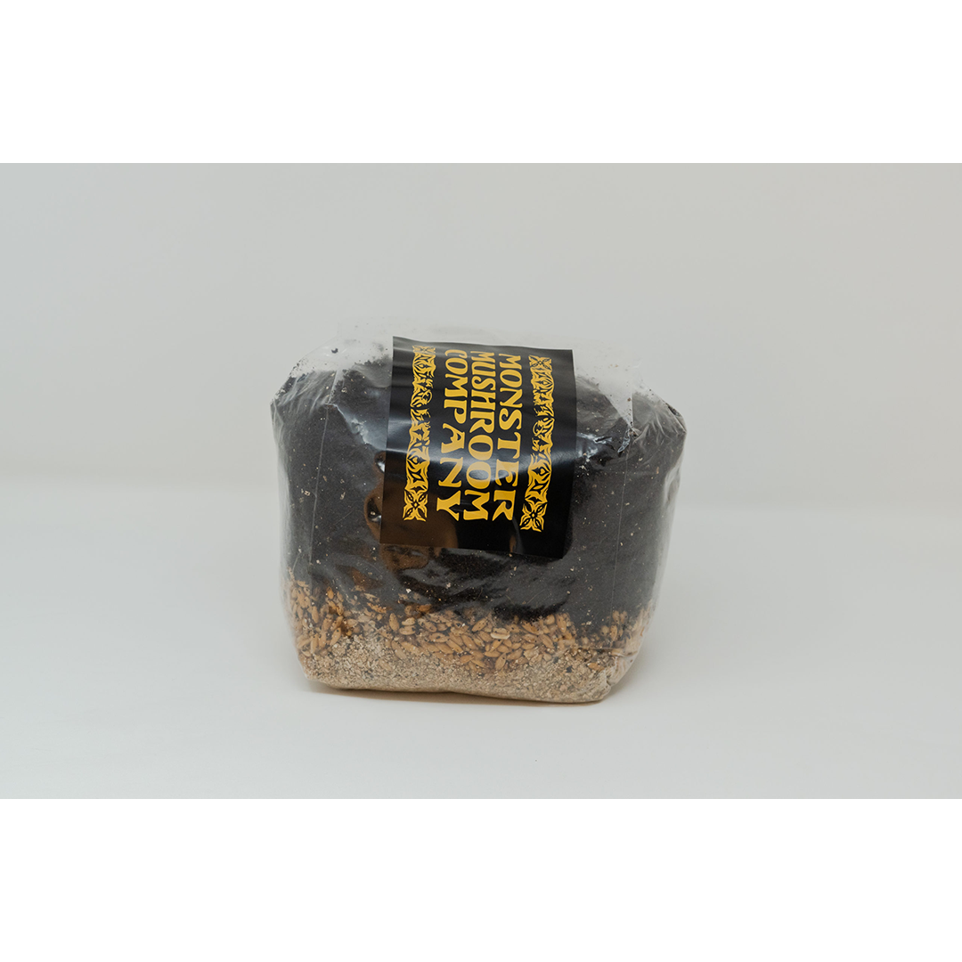 All-in-One Mushroom Grow Bag – 3 Lb Rye & Coco Coir Kit, Includes Injection Port & Filter, Just Add Spores & Grow Your Own Mushrooms