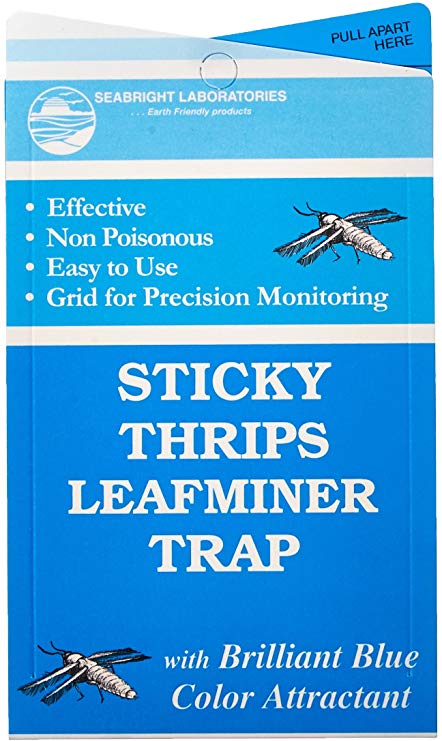 Sticky Thrip Leafminer Trap 5/Pack 