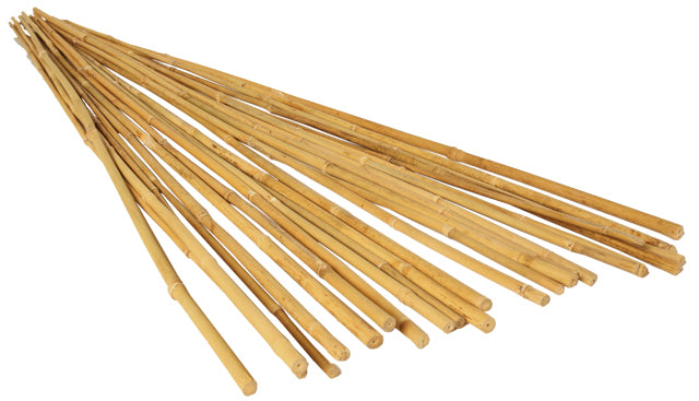 GROW!T Natural Bamboo Stakes