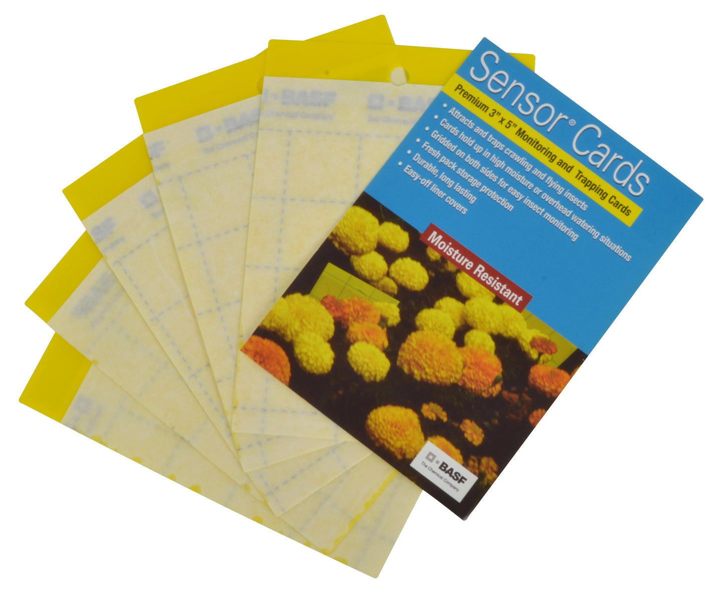 Sensor Cards Yellow Monitoring and Trapping Cards 50 Pack