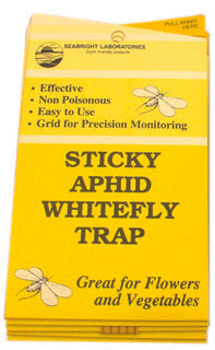 Seabright Laboratories Whitefly Traps (5/Pack)