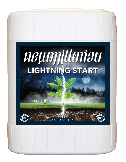 New Millenium Lighting Start 5 gallon