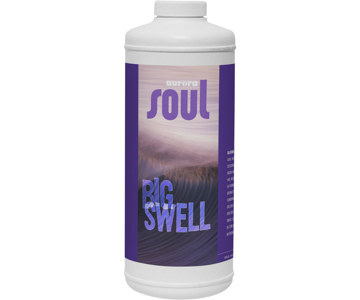Soul Big Swell