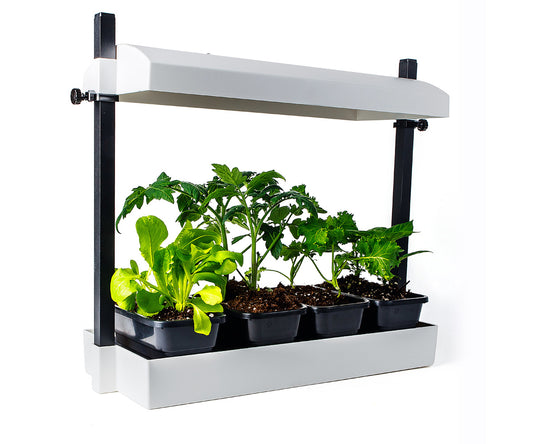 Sunblaster Micro T5 Grow Light Garden White
