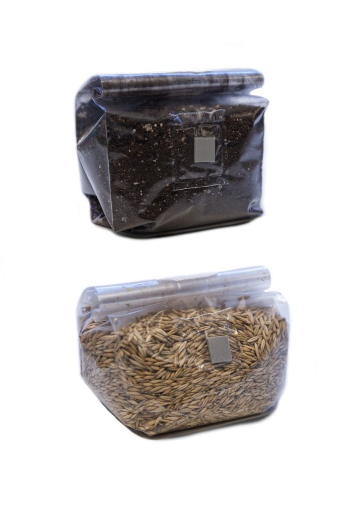 3lb Machine Sterilized Mushroom Grain Bags – BeShroomed Farms