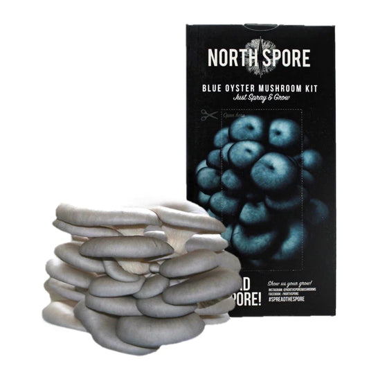 North Spore Blue Oyster All In One Mushroom Kit