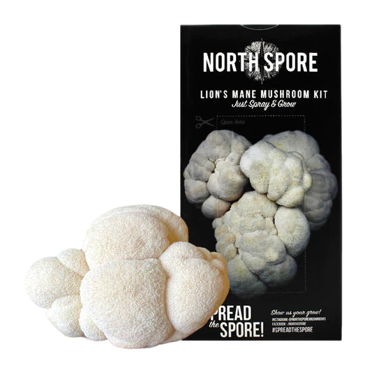 North Spore Lion's Mane ‘Spray & Grow’ Mushroom Growing Kit