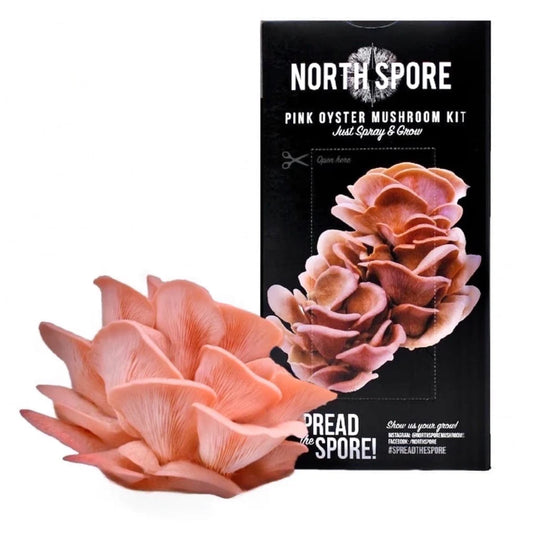 North Spore Pink Oyster Mushroom All In One Grow Kit